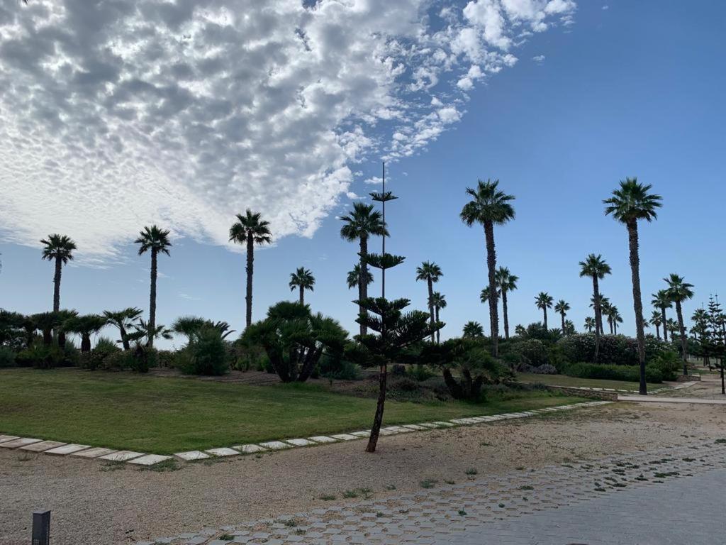 Costa Ballena, 1ª Linea De Playa 3 Dorm Y Parking エクステリア 写真